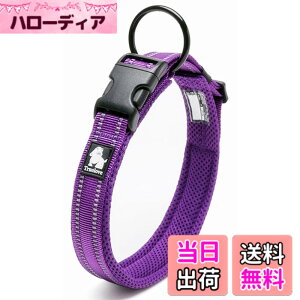 �y���������zcocomall���{�����X ����� ���̎�� �P���p ���^�A���^�A��^���p �y�b�g�p�i 3M���ˍޗ� �i�C������ �ʋC�� �e�͐� �\�t�g���b�V�� �ȒP���� ������� ���߉\ (XXS, ���F)