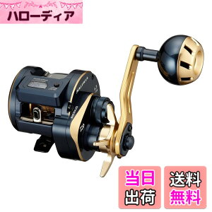 �y���������z�_�C��(DAIWA) 21 �\���e�B�KIC 100L