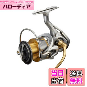 �y���������z�_�C��(DAIWA) �X�s�j���O 21 �t���[���X LT4000-CXH