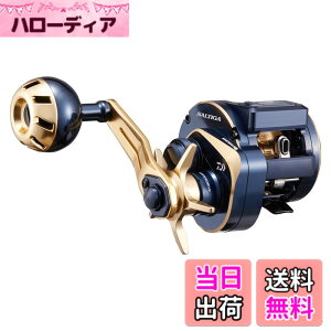 �y���������z�_�C��(DAIWA) 21 �\���e�B�KIC 100