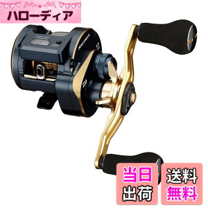 �y���������z�_�C��(DAIWA) 21 �\���e�B�KIC 100PL-DH