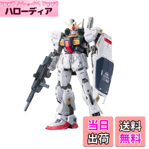 �y���������zRG �@����m���K���_�� RX-178 �K���_��Mk-II �G�D�[�S�d�l 1/144�X�P�[�� �F�����ς݃v�����f��