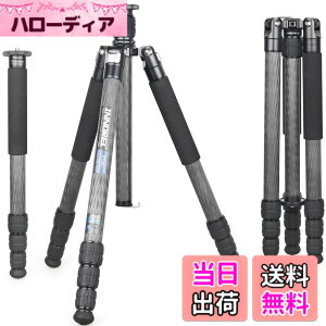 �y���������zINNOREL RT85C �J�[�{�� �O�r 173CM �g���x���O�r �v���� �i�b�g���b�N�� �G���x�[�^�[�� �ω׏d 25KG �l�i�r ��r�ώ� �p�C�v�a32mm ���y�� �^���� �o�R ��O �쒹 �B�e �X�p�C�N �O�r