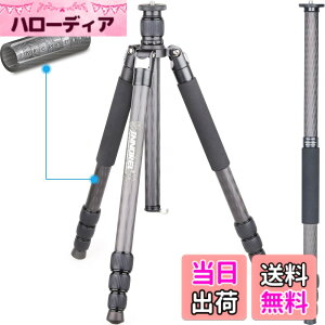 �y���������zINNOREL RT75C �J�[�{�� �O�r 165CM �g���x���O�r �v���� �i�b�g���b�N�� �G���x�[�^�[�� �ω׏d 20KG �l�i�r ��r�ώ� �p�C�v�a29mm ���y�� �^���� �o�R ��O �쒹 �B�e �X�p�C�N �O�r