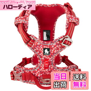 �y���������zcocomall 2020�V�^ ���p�n�[�l�X ���p���� �h�b�O �y�b�g�p�i �n�[�l�X 3M���ˍޗ� �P�� �i�C������ ���^���A���^���A��^���Ɍ��� �ʋC�� ���߉\ (XL, Poppy Red)
