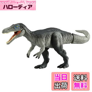 ���i�摜