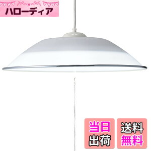 �y���������z�I�[���d�@ LED�m���y���_���g���C�g 8���p �����F LT-Y40D8G-W1 06-3873 OHM