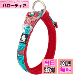 �y���������zcocomall���{�����X ����� ���̎�� �P���p ���^�A���^�A��^���p �y�b�g�p�i �i�C������ �ʋC�� �e�͐� �\�t�g���b�V�� �ȒP���� ������� ���߉\ (L, blue&red)