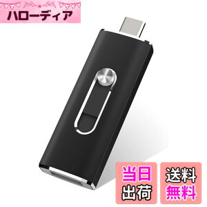�y���������zUSB������256GB USB 3.1 2in1 Type-C ������ �t���b�V���h���C�u(�u���b�N)