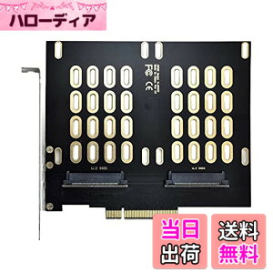 �y���������zNFHK �f���A�� 2X U.2 SFF-8639 SSD - PCIE Express 3.0 Gen3 X8 X16 RAID �J�[�h VROC Raid0 �n�C�p�[�A�_�v�^�[