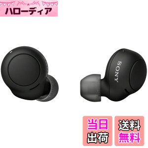 �y���������z�\�j�[(SONY) ���S���C�����X�C���z�� WF-C500 : /�y�ʏ��^5.4g/�����x�ʘb�i��/�ȒP�y�A�����O/IPX4�h�H���\/�u���b�N WF-C500 BZ