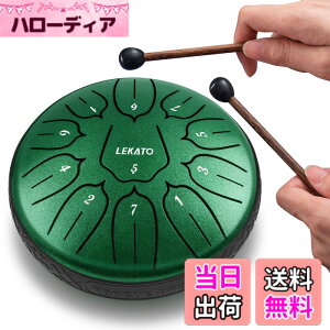 �y���������z�X���b�g�h���� �X�`�[���^���O�h���� LEKATO �����h���� 11�� 6�C���` �Ŋy�� �}���b�g ���[�o�b�O�t�� �ґz ���K �T (�W�F�C�h�O���[��)