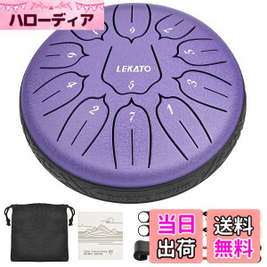 �y���������z�X���b�g�h���� �X�`�[���^���O�h���� LEKATO �����h���� 11�� 6�C���` �Ŋy�� �}���b�g ���[�o�b�O�t�� �ґz ���K �T (�p�[�v��)