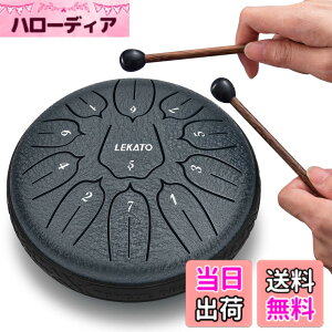 �y���������z�X���b�g�h���� �X�`�[���^���O�h���� LEKATO �����h���� 11�� 6�C���` �Ŋy�� �}���b�g ���[�o�b�O�t�� �ґz ���K �T (�l�C�r�[�u���[)
