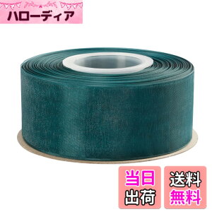 �y���������zITIsparkle �I�[�K���W�[���{�� ��38mmx45M�� ��| ���� ���b�s���O ���傤���� ���{�� #347-�e�B�[��