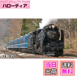 �y���������zKATO N�Q�[�W D51 498 (�����t) 2016-A �S���͌^ ���C�@�֎� ��