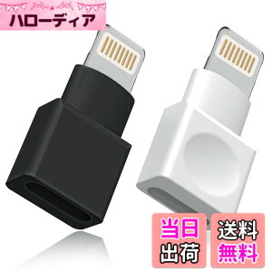 �y���������z���C�g�j���O�����P�[�u�� �A�_�v�^�[ 2�_�p�b�N Apple(�A�b�v��) MFI�F�� iPhone�[�d�� �����P�[�u�� �I�X�^-���X�^ �h�b�N �G�N�X�e���_�[ iPhone 13 12 11 X XS XR 8 7 6 5 iPad�Ή� �I�[�f