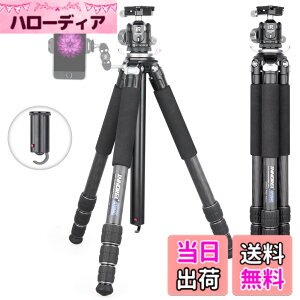 �y���������zINNOREL �J�����p �J�[�{�� �O�r N36���R�_�� �L�b�g�Z���^�[�|�[���t�� 20KG�ω׏d 10-168CM���� 28/25/22/19CM�p�C�v�a �g���x�� �^���� �iGT284C+N36)�j