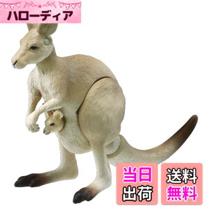 ���i�摜