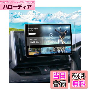�y���������zruiya �����K���X 2024�V�^ �p�i�\�j�b�N �X�g���[�_ 10�C���` CN-F1X10C1D �t�B���� �ی�t�B���� �i�r�t�B���� ��p �X�g���[�_ �i�r �t�B���� 10�C���` �i�r �ی�t�B���� 9H �J�X�^