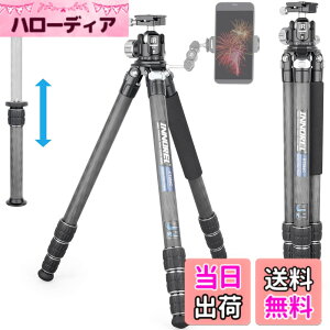 �y���������zINNOREL �J���� �O�r �J�[�{�� ��჌�t�O�r N36 ���R�_��t�� 20KG�ő�ω׏d 4�i�L�k 16-173CM��ƍ��� 29/25.6/22.2/18.8MM�p�C�v�a 360° �r�f�I�J���� �f�W�J�� DSLR DV�ʗp�R���p�N�g �O�r 