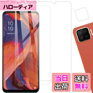 �y���������z�y2+2�� �w��F�؁zKPNS ���{�f�ސ� �����K���X OPPO A73 �p �K���X�t�B���� 2�� OPPOA73 �J�����t�B���� �J�o�[ �ی�t�B����