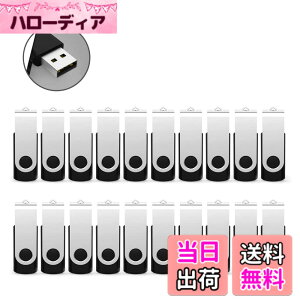 �y���������zRAOYI USB������ 32GB USB 2.0 20�Z�b�g �t���b�V���h���C�u ��]�� �܂Ƃߔ��� �Ɩ��p �������X�e�B�b�N �≮ �X�g���b�v�z�[���t�� �i���j
