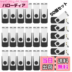 �y���������zRAOYI USB������ 8GB USB 2.0 50�Z�b�g �t���b�V���h���C�u ��]�� �܂Ƃߔ��� �Ɩ��p �������X�e�B�b�N �≮ �X�g���b�v�z�[���t�� �i���j