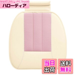 �y���������z�{���t�H�[��(BONFORM) �J���[���C�N�A�b�v45x45cm(�q�b�v �i��:5755-43PI