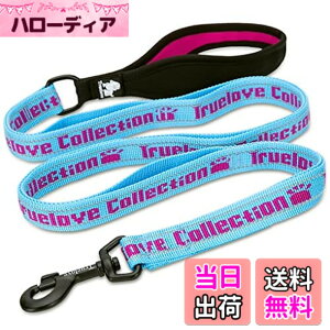 �y���������zcocomall �Z�ӏ������n���h�����p���[�h ���^�A���^�A��^���p �P���p �����O���[�h �y�b�g�p�i 3M���ˍޗ� �i�C������ �ʋC�� ���߉\ ���b�V���y�b�g (�u���[���s���N,L)