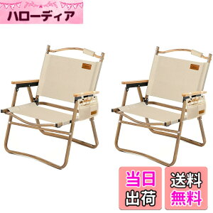 �y���������zDesertFox �A�E�g�h�A �`�F�A �L�����v �`�F�A �y�� 2�Z�b�g �܂肽���� �֎q �y�ω׏d150kg�z �l�G�K�p �R���p�N�g�y�� �g�ѕ֗� �C�X �s�N�j�b�N �L�����v�p DY001 (�N���[���C�X