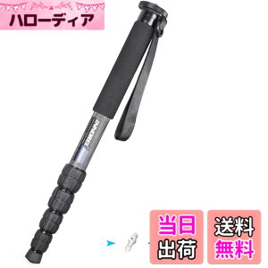 �y���������zINNOREL ��r �J�����p �J�[�{���� 22lbs/10kg�ω׏d 5�Z�N�V�����L�k�\ �R���p�N�g �֗� �y�� ���s�p�iRM285C�j