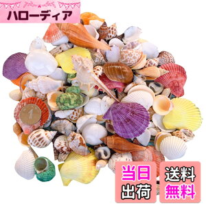�y���������zsiawadeky �J���t�� �L�k 500g �A�\�[�g �Z�b�g �V�R�f�� �~�b�N�X �r�[�`�V�F�� ������/����/���A��/�h���t�g�{�g�� ���� �r�[�`���� DIY�p �ӏܗp �W���G���[ �A�N�Z�T���[�p�[�c 