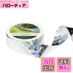 �y���������zOFFO ���悯 �L���L���e�[�v 100.6m ����25�����ʃX�Y���ǂ��̗��ʔ��˃z���O�����e�[�v ��2.4cm ���z�����������˂��邱�ƂŒ����������Ċ񂹕t���܂��� �����j���؂Ȃǂ𒹂�