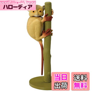 ���i�摜