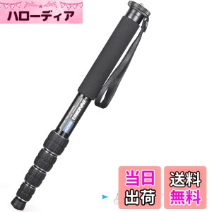�y���������zINNOREL ��r �J�����p �R���p�N�g��r �A���~��r 12KG�ω׏d 5�i�L�k �g���x��/�쒹�B��/�����/�X�|�[�c�C�x���g�ɑΉ� ���s��r RM325A