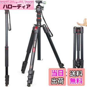 �y���������z��჌�t�O�r INNOREL �g���x���O�r ��r�ώ� �A���~�� 15KG�ω׏d 197CM�ő��ƍ��� 36MM��d�S�_��t�� �R���p�N�g�O�r �J�������~���[���X�p �y�� RT30+D36