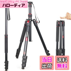 �y���������z��჌�t�O�r INNOREL �g���x���O�r ��r�ώ� �A���~�� 15KG�ω׏d 197CM�ő��ƍ��� �R���p�N�g�O�r �J�������~���[���X�p �y�� RT30