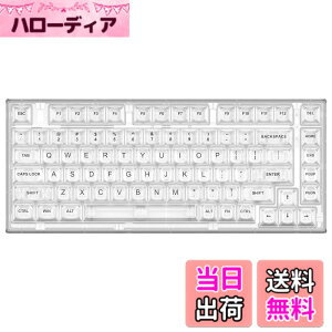 �y���������zYUNZII X75 �z�b�g�X���b�v���J�j�J���L�[�{�[�h �����ȃL�[�L���b�v �K�X�P�b�g����75�L�[�{�[�h RGB�o�b�N���C�g�t�� �Q�[�~���O�L�[�{�[�h Windows/Mac�Ή�(Kailh �W�F���[�t�B�b�V