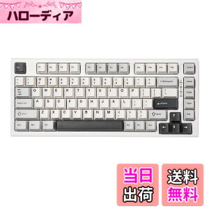 �y���������zYUNZII YZ75 75% �z�b�g�X���b�v�Ή����C�����X�Q�[�~���O�L�[�{�[�h RGB�o�b�N���C�g BT5.0/2.4G/USB-C�ADye Sub PBT�L�[�L���b�v Linux/Win/Mac�p �Z�K�F�؎擾�iGateron G Pro �Ԏ�,�z���C�g)