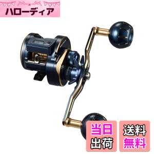 �y���������z�_�C��(DAIWA) �J�E���^�[�t�L�I�t�V���A�x�C�g���[�� �\���e�B�KIC 100HL-DH