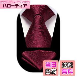 �y���������z[HISDERN] �� �l�N�^�C������ �l�N�^�C�����Y �`�[�t �Z�b�g �ԕ� �t�H�[�}�� �r�W�l�X�p �u�����h�i �畞�p �c���p HP-03