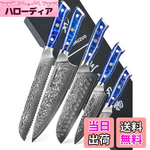 �y���������zSANMUZUO Chef Cooking Knives Set- Kitchen Knife Set of 5 Piece - Ultra-Sharp VG10 Damascus Steel & Resin Handle - Xuan Series (Sapphire Blue)