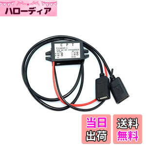 �y���������zRenjzle USB�d���A�_�v�^ �f���A���_�u�� 2 USB DC-DC �J�[�R���o�[�^ ���W���[���ԗp�d�͕ϊ��� �d���R���o�[�^ (��*1)