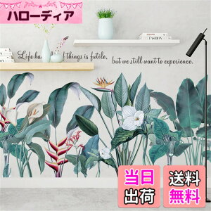 �y���������zWOHAHA �E�H�[���X�e�b�J�[ ������� �A�� �M�ѐA���̗t �k�� ���m�g�[�� �� �i�F life had a lot of things is futile we still want to experience �p�� �E�H�[���V�[�� �ǎ��V�[�� �͂����� �ǂɓ\