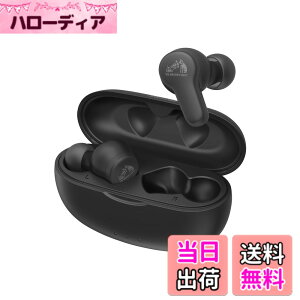�y���������zJVC�P���E�b�h Victor HA-A20T ���C�����X�C���z�� Bluetooth �{�̎���4.2g�i�Ў��j���^�y�ʃ{�f�B �ő�24���ԍĐ� �����h���d�l Bluetooth Ver.5.3 �I���W�i���X�e�b�J�[�t�� HA-A20T-B �u���b