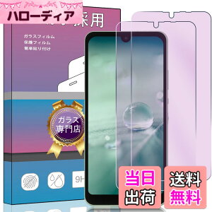 �y���������z�y�u���[���C�g�J�b�g 2���Z�b�g�z�Ή� AQUOS Wish / Wish2 SH-51C �K���X�t�B���� 2.5D���E���h�G�b�W���H 9H�d�x �u���[���C�g�J�b�g �Ή� SHG06 / SH-M20 / A104SH / SH-51C �t���ی�t�B���� 