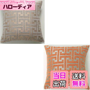 �y���������zYunJeude �N�b�V�����J�o�[ 45x45cm �V�F�j�[�����n �􉽊w�͗l �� ������� �_�炩���k�� ���� �\�t�@�w���� �������J�o�[ �������J�o�[ ���z�c�J�o�[ �s���P�[�X �� �֎q �C���e