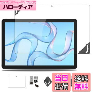 �y���������zWIRELESS GATE wg_tablet_01 �p �t�B���� �ی�t�B���� �K���X�t�B���� �yNOUKAJU�z Hi10 XPro 10.1�C���` �����K���X�t�B���� ���t���t���[���t�� �����ߗ� �d�x9H ��U�h�~ �C�A�h�~ �w��