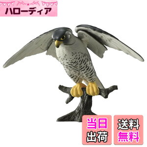 �y���������z�^�J���g�~�[ �A�j�A AS-44 �n���u�T ���� ���� �������� 3�Έȏ�